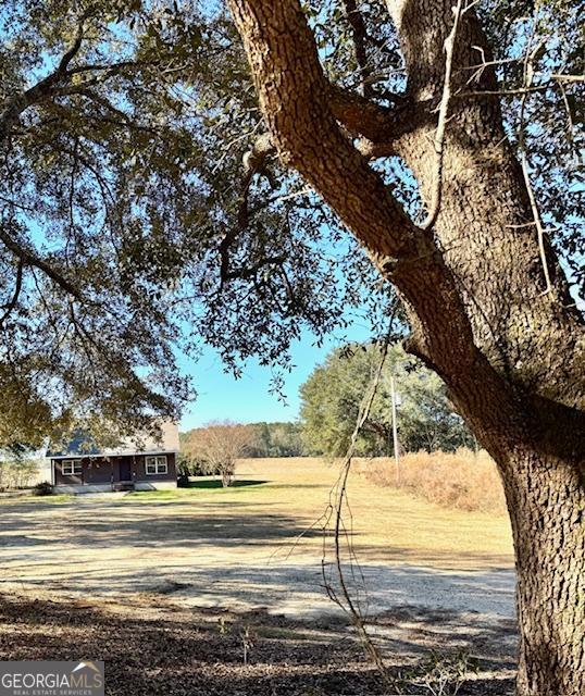 983 Johnny Brannen Road Statesboro, GA 30458 - Photo 26 of 27 a view of a yard with an trees