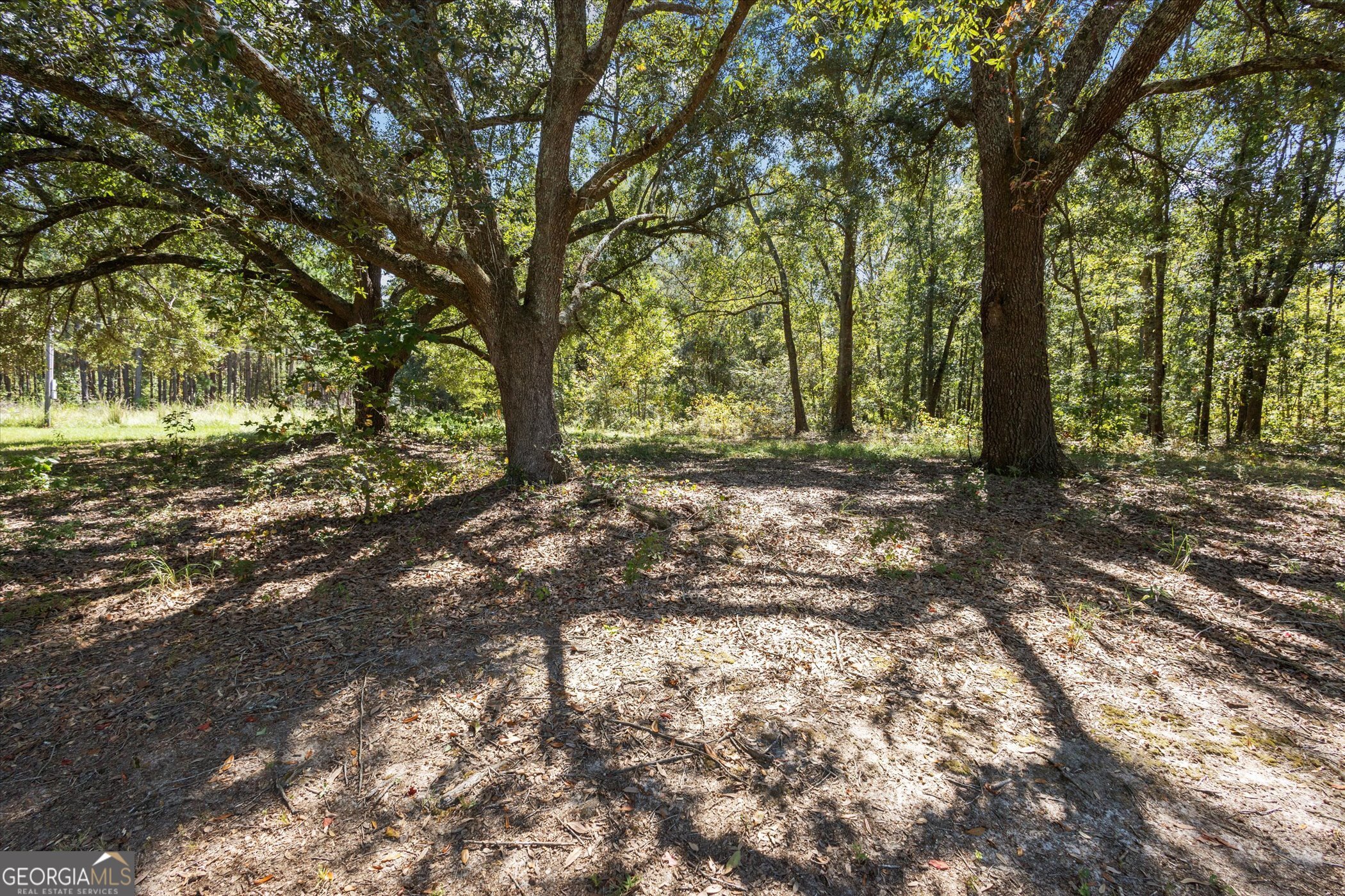983 Johnny Brannen Road Statesboro, GA 30458 - Photo 4 of 27 a big yard with lots of green space and trees