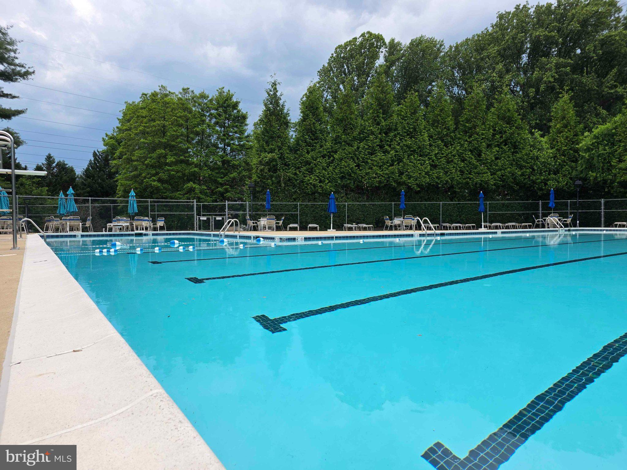 7838 Ashley Glen Road Annandale, VA 22003 - Photo 75 of 77 Community pool
