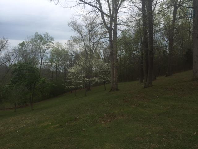 1080 Bloom Landing Road Charlotte, TN 37036 - Photo 16 of 19 Gallery Image 16