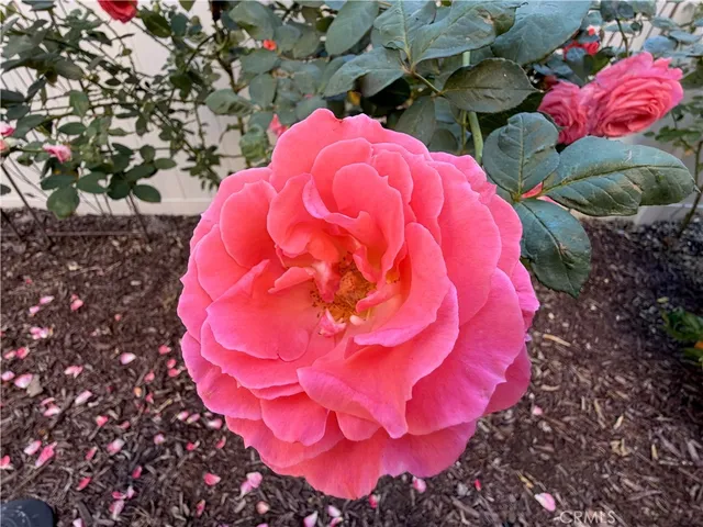 $814,888 | 46302 Lone Pine Drive, Temecula, CA 92592