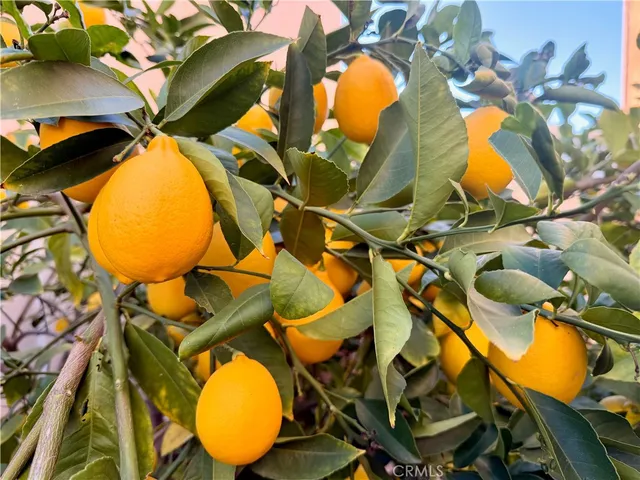 $814,888 | 46302 Lone Pine Drive, Temecula, CA 92592