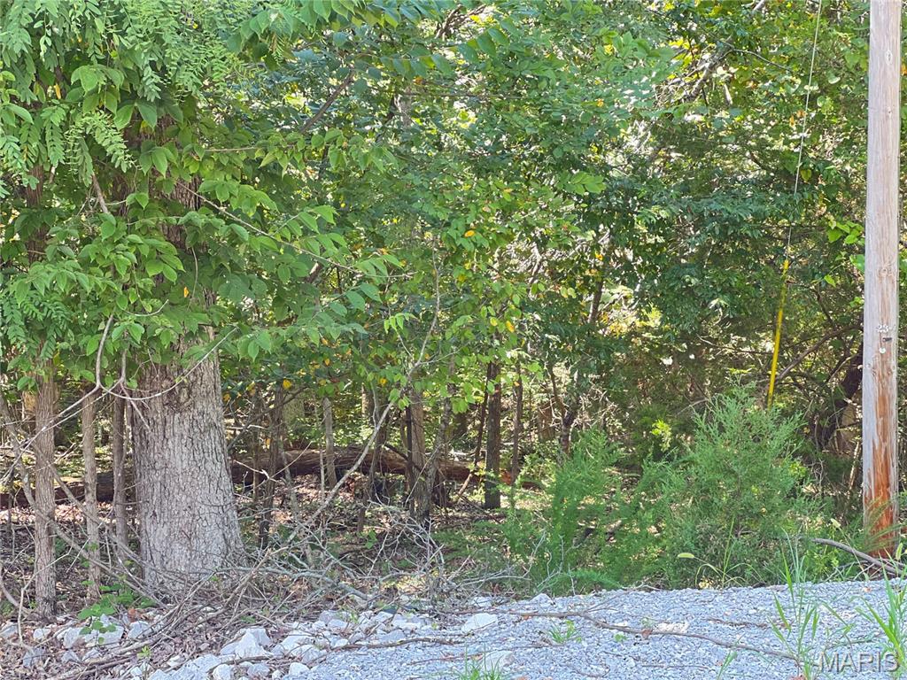 5101 West Loop Drive Perryville, MO 63775 - Photo 2 of 11