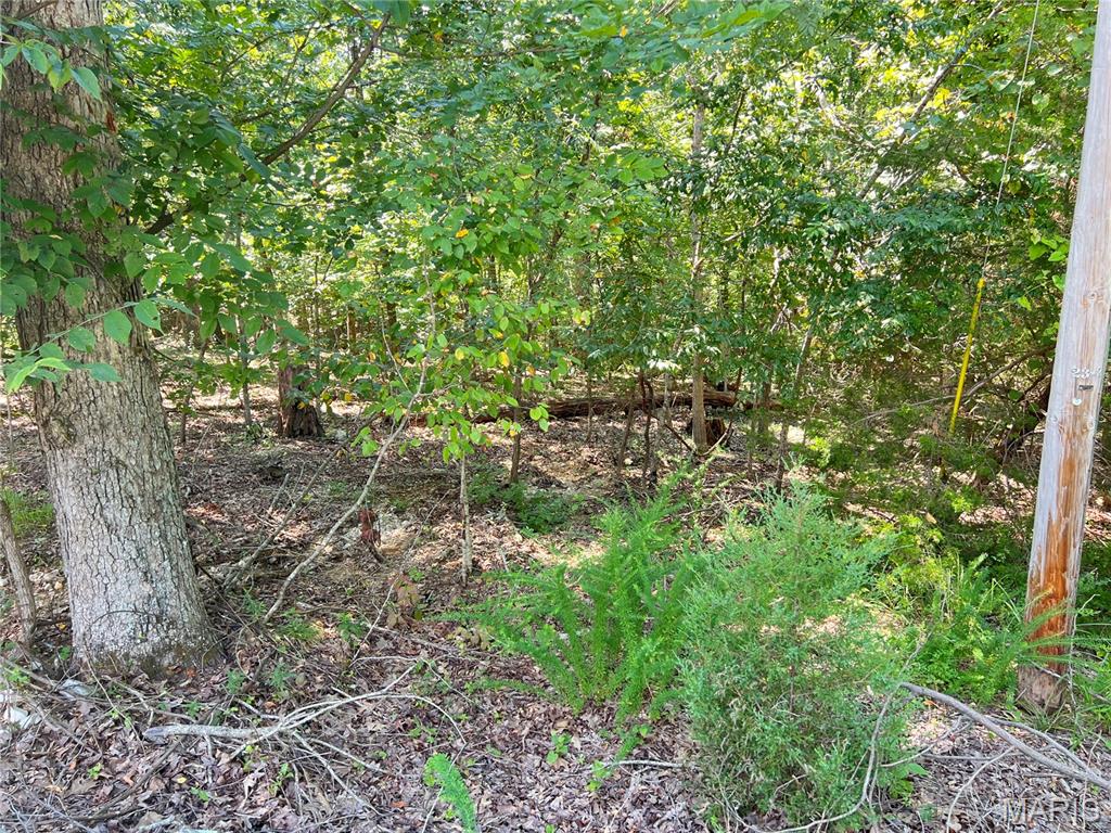 5101 West Loop Drive Perryville, MO 63775 - Photo 3 of 11