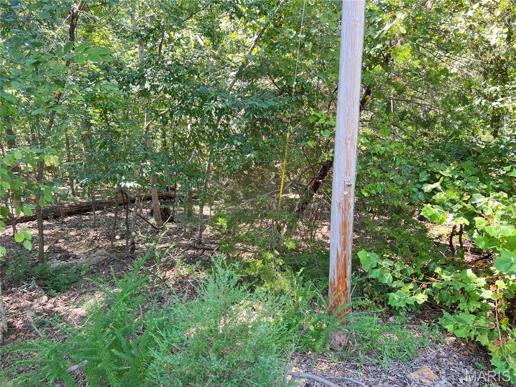 5101 West Loop Drive Perryville, MO 63775 - Photo 4 of 11