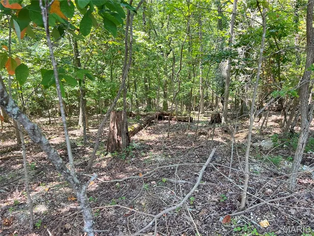 $16,000 | 5101 West Loop Drive, Perryville, MO 63775