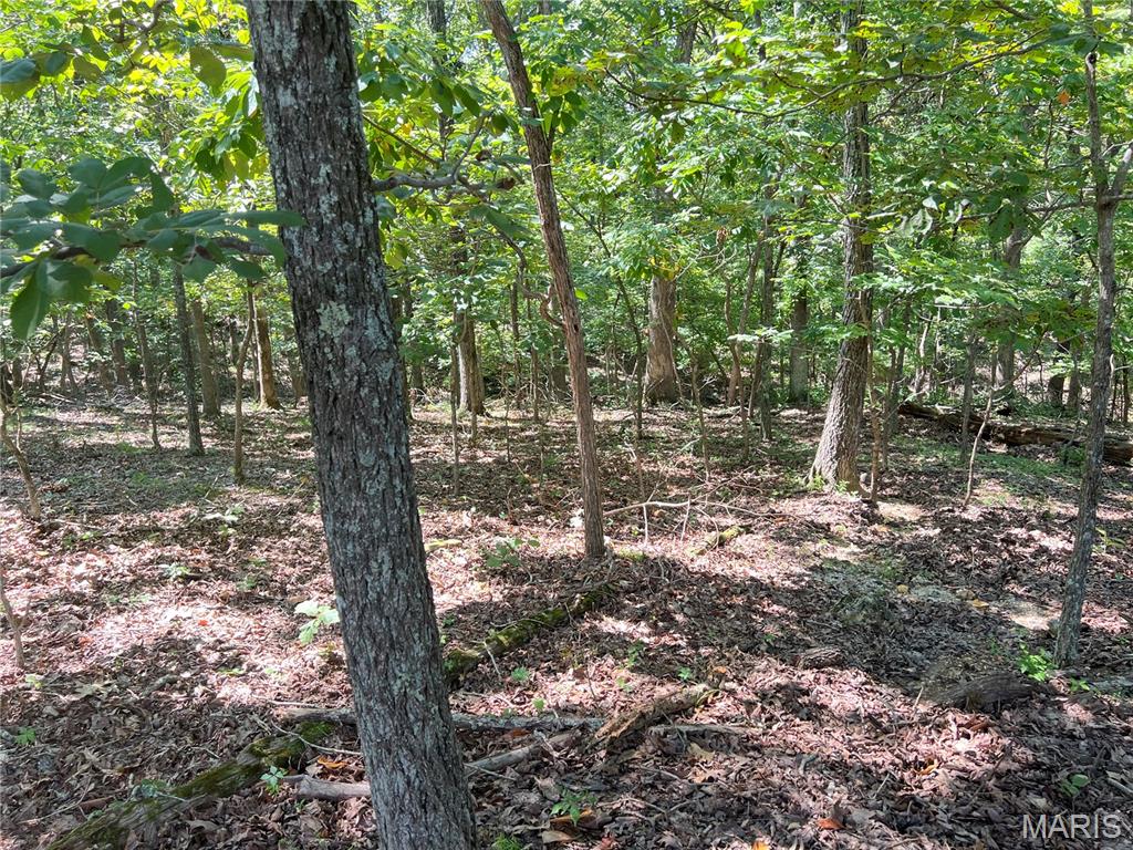 5101 West Loop Drive Perryville, MO 63775 - Photo 6 of 11