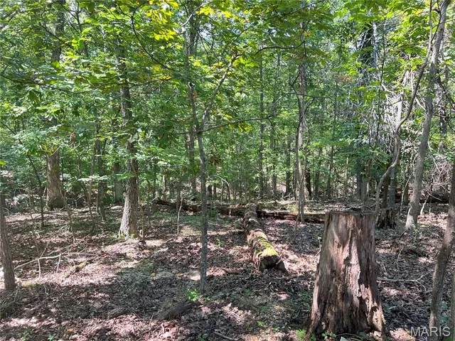 $16,000 | 5101 West Loop Drive, Perryville, MO 63775