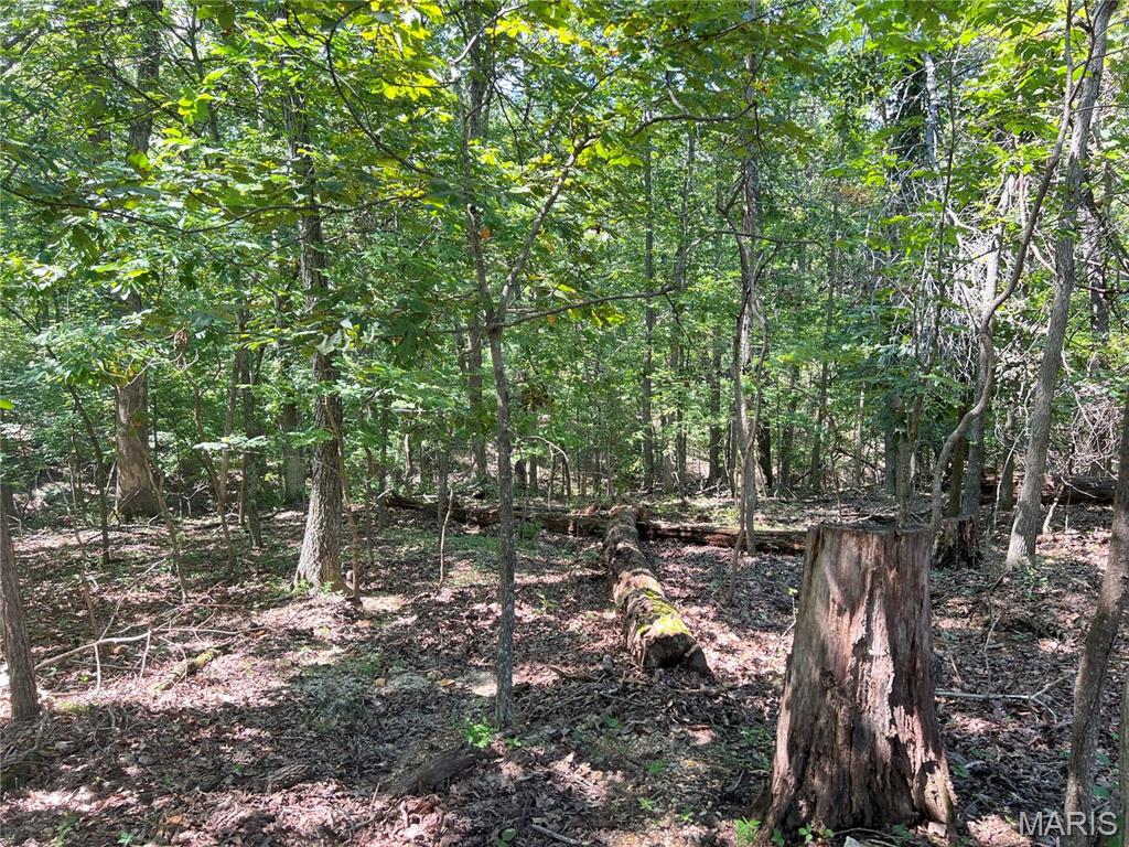 5101 West Loop Drive Perryville, MO 63775 - Photo 7 of 11