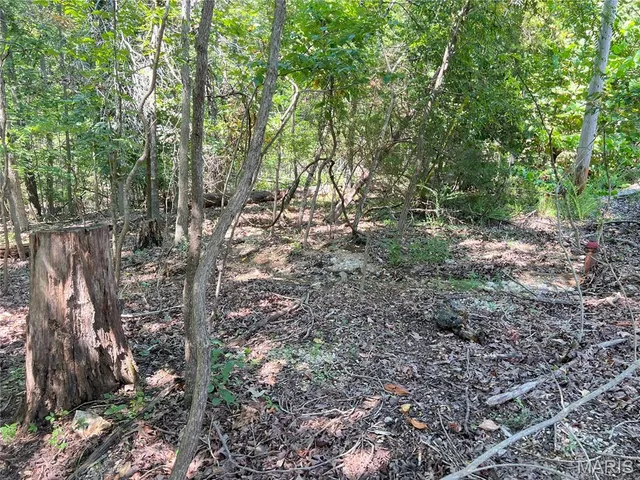 $16,000 | 5101 West Loop Drive, Perryville, MO 63775