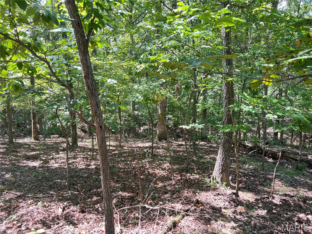 5101 West Loop Drive Perryville, MO 63775 - Photo 10 of 11