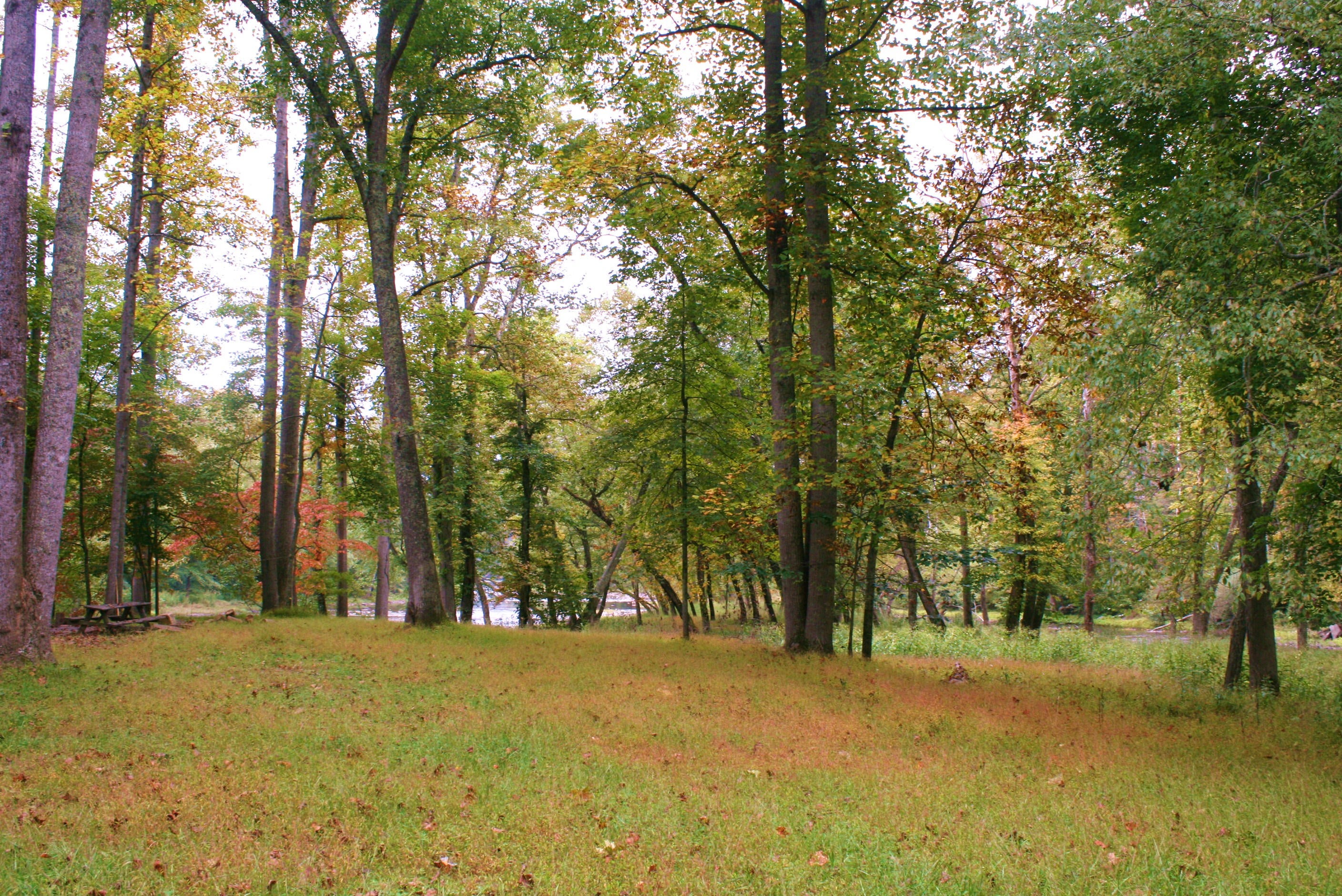 Tunnel & Island Road Renick, WV 24966 - Photo 1 of 22 Gallery Image 1