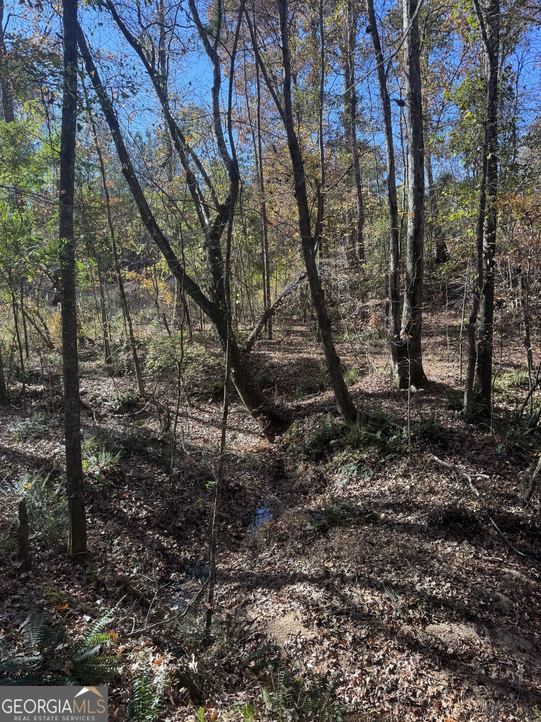 4517 Hwy 18 West Point, GA 31833 - Photo 2 of 7 a backyard of a house with lots of green space