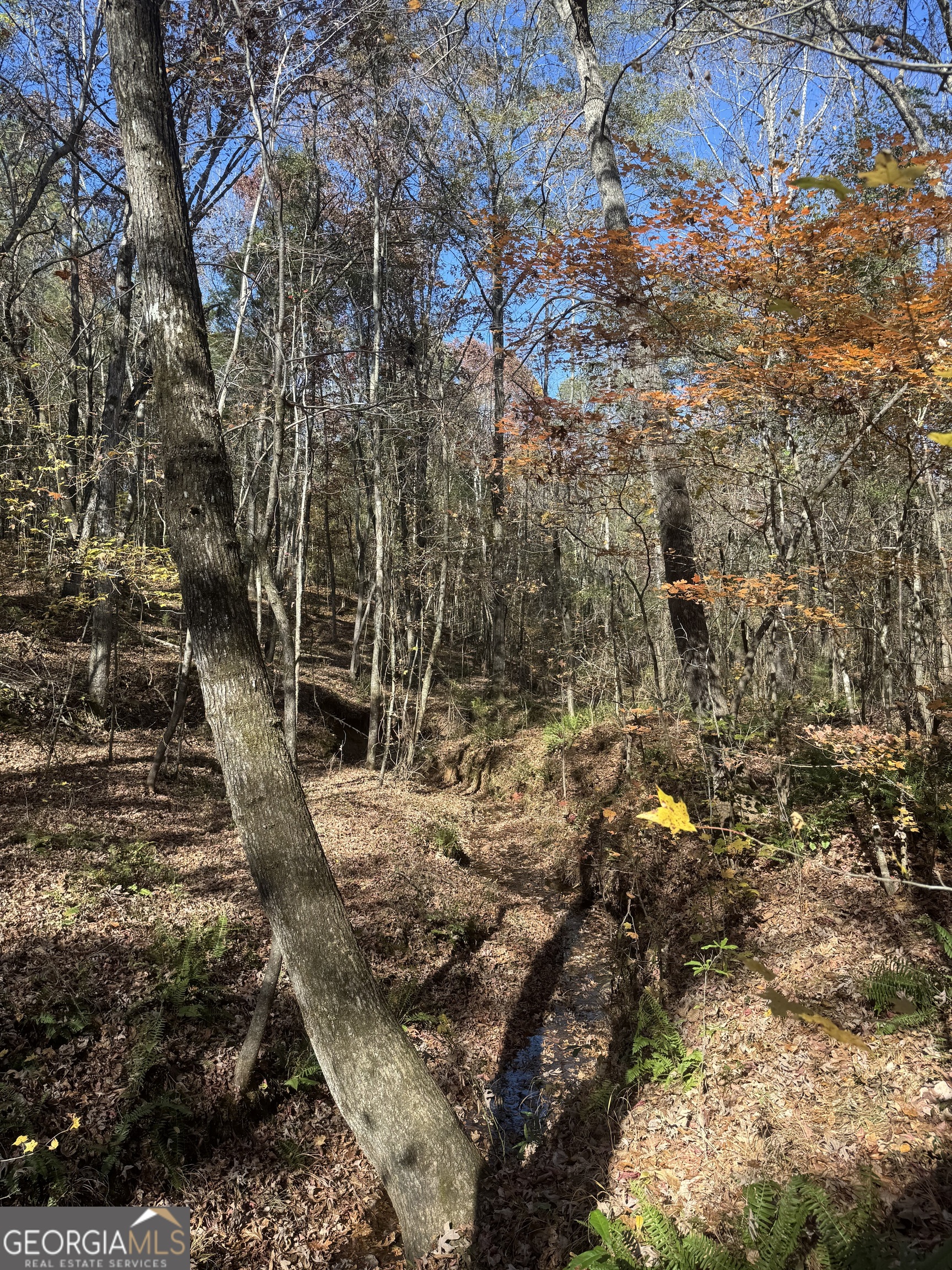 4517 Hwy 18 West Point, GA 31833 - Photo 3 of 7 a view of a yard with trees