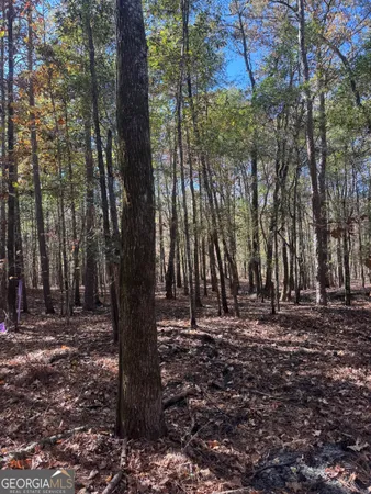 a view of outdoor space with trees