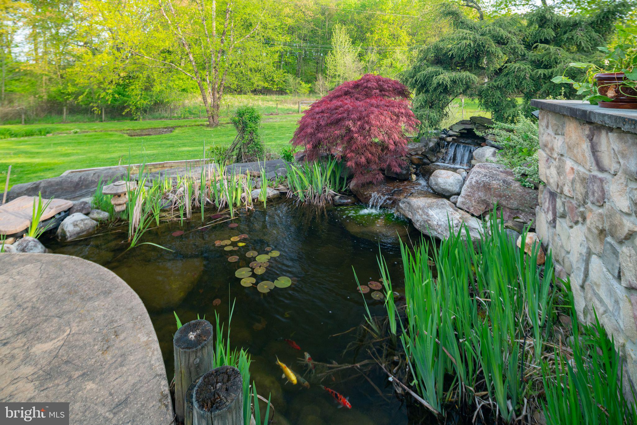 107 South Shady Retreat Road Doylestown, PA 18901 - Photo 10 of 48 Gallery Image 10