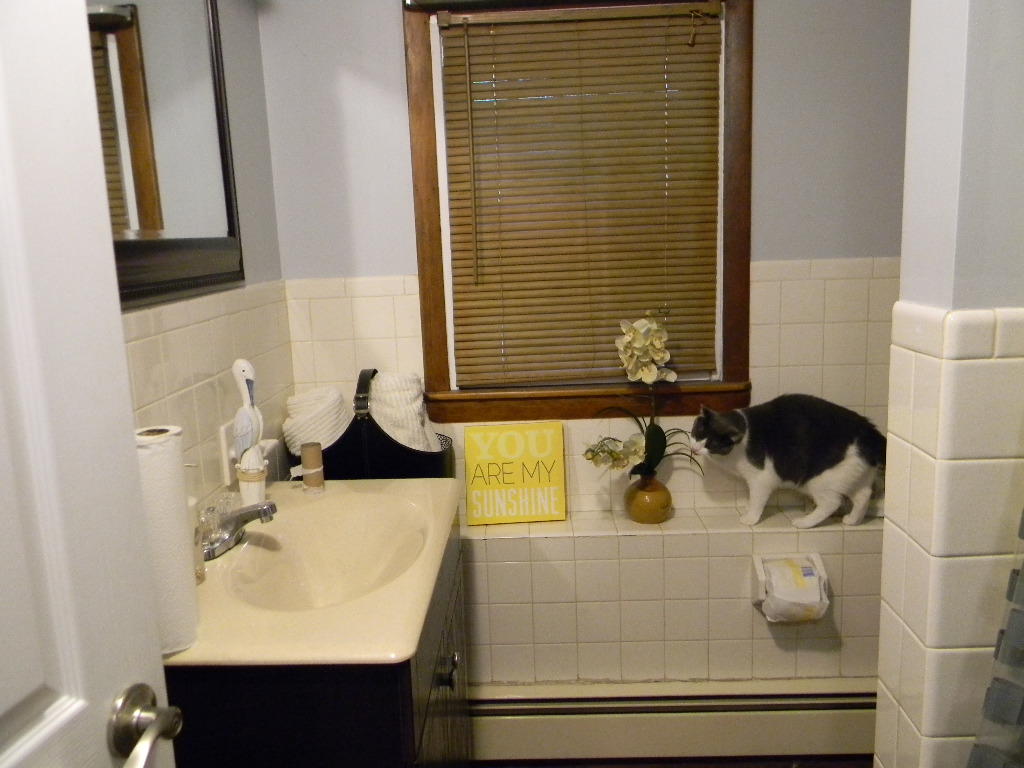 76 Rotherdale Road Brewer, ME 04412 - Photo 34 of 34 76 Rotherdale Basement Full Bathroom