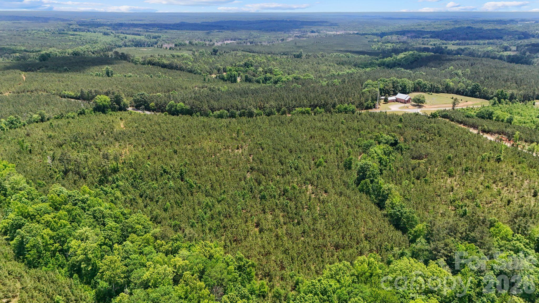 0 Cool Branch Road, Unit 3 Carlisle, SC 29031 - Photo 6 of 20