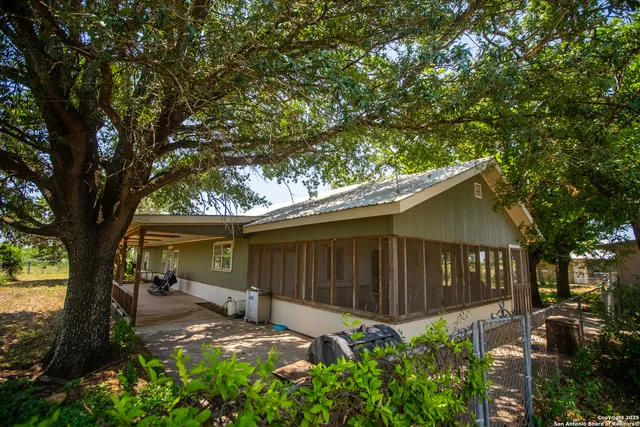 a backyard of a house with plants and large tree