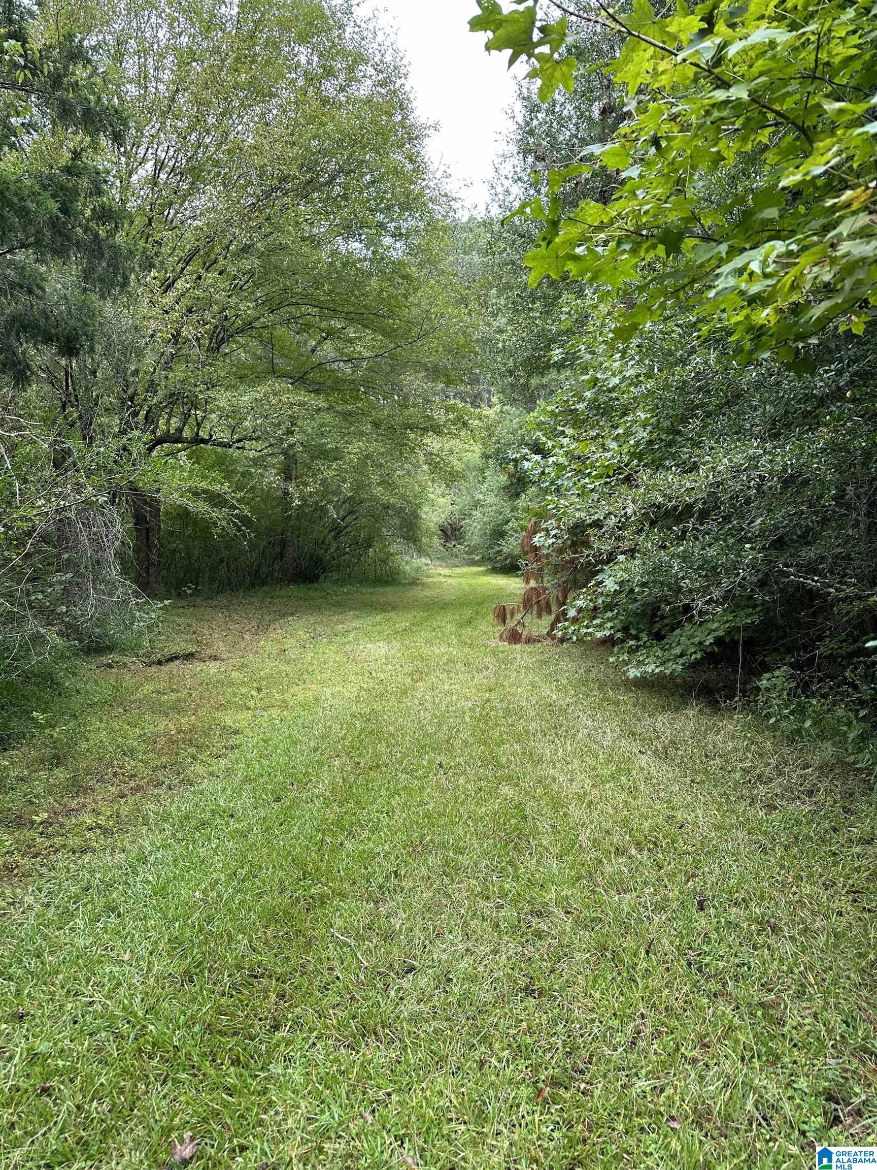 9204 Marsh Mountain Road Pinson, AL 35126 - Photo 53 of 56