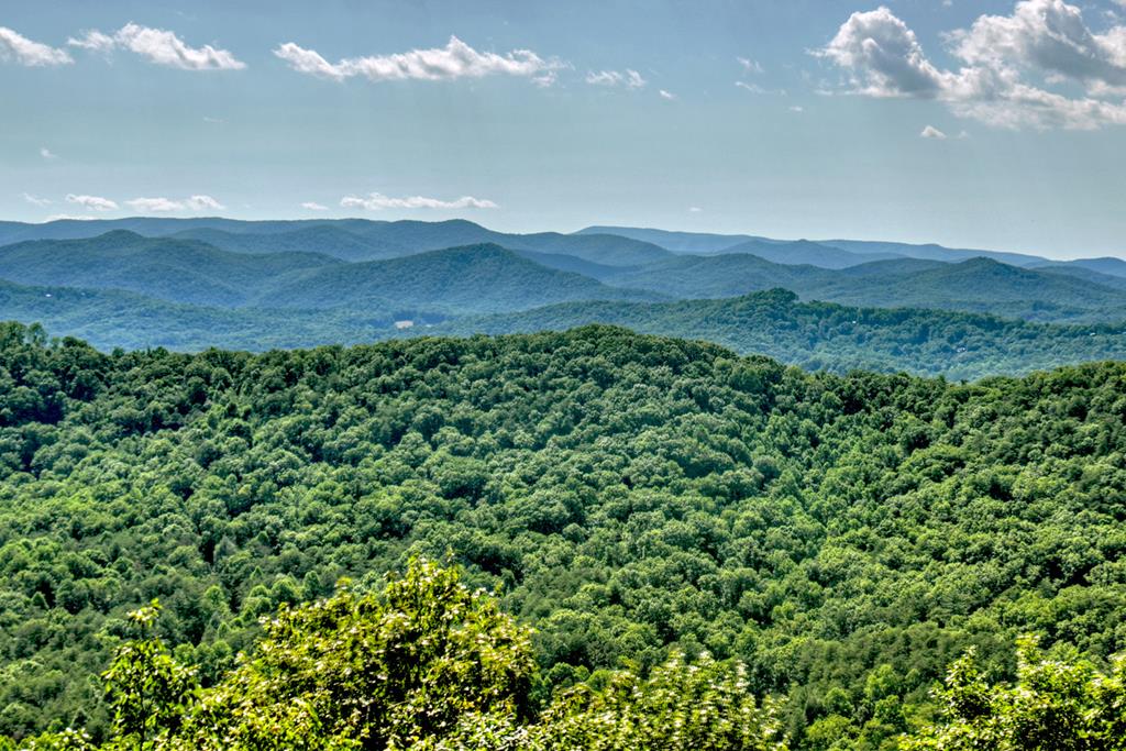 98 Snake Nation Overlook Blue Ridge, GA 30513 - Photo 25 of 47 Gallery Image 25
