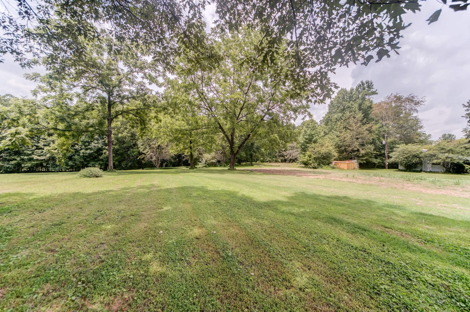 1353 Academy Road Portland, TN 37148 - Photo 26 of 35 a view of outdoor space with trees all around