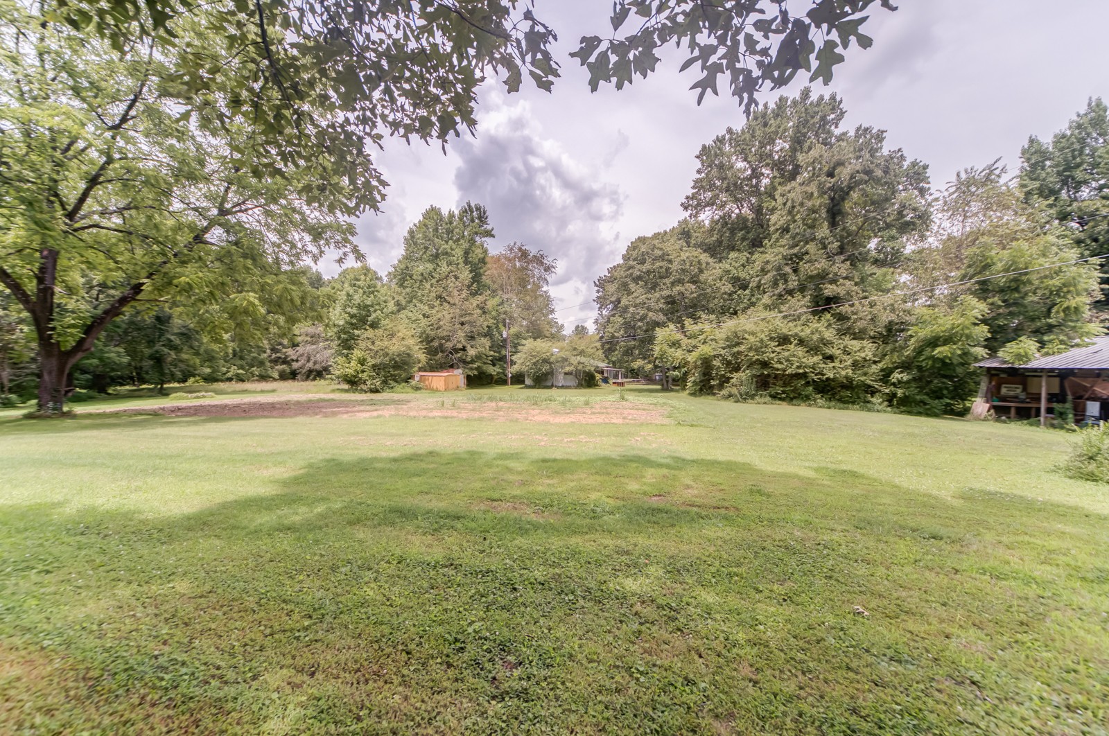 1353 Academy Road Portland, TN 37148 - Photo 33 of 35 a view of yard with large trees