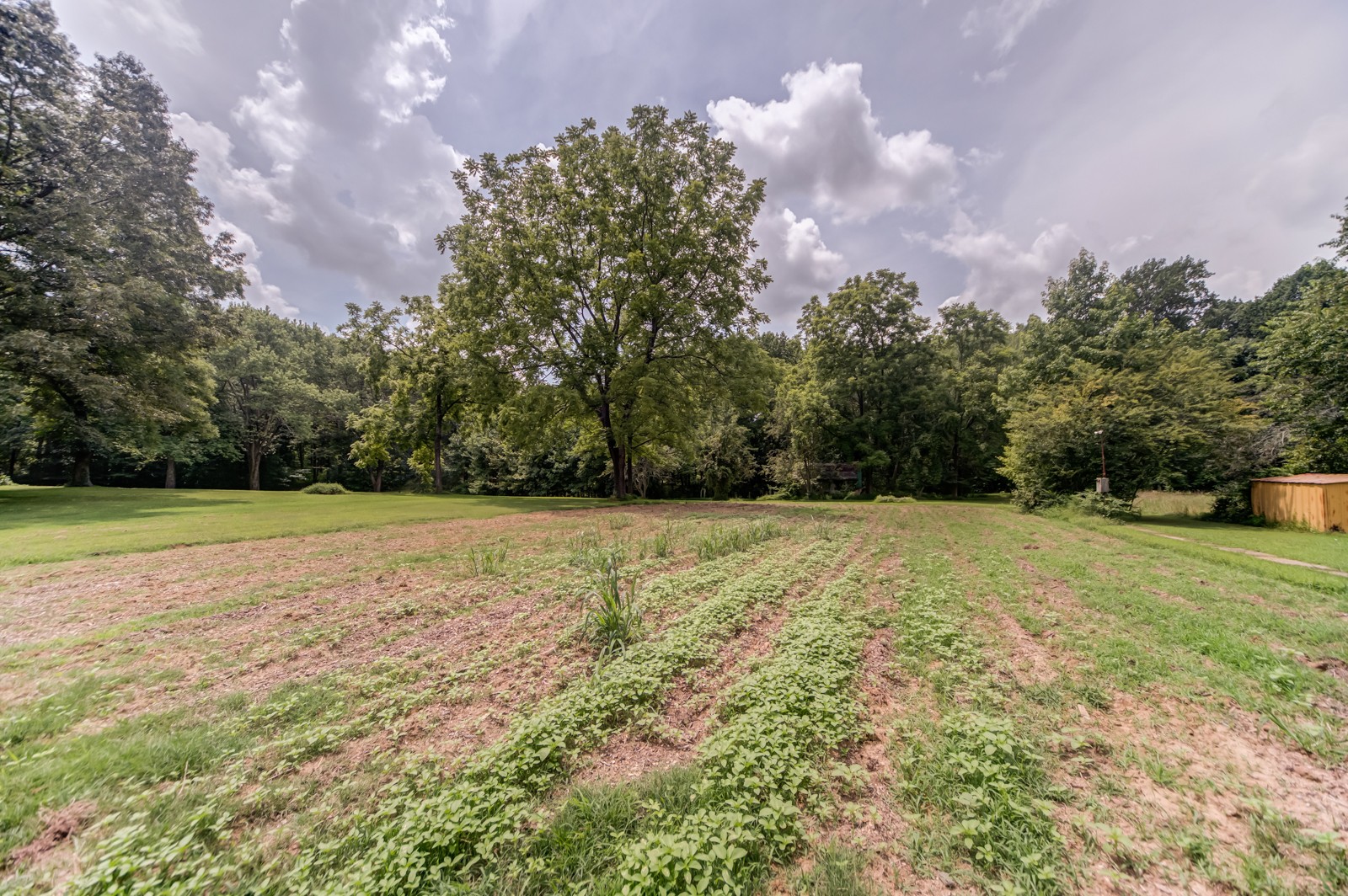 1353 Academy Road Portland, TN 37148 - Photo 34 of 35 a view of outdoor space with deck and trees
