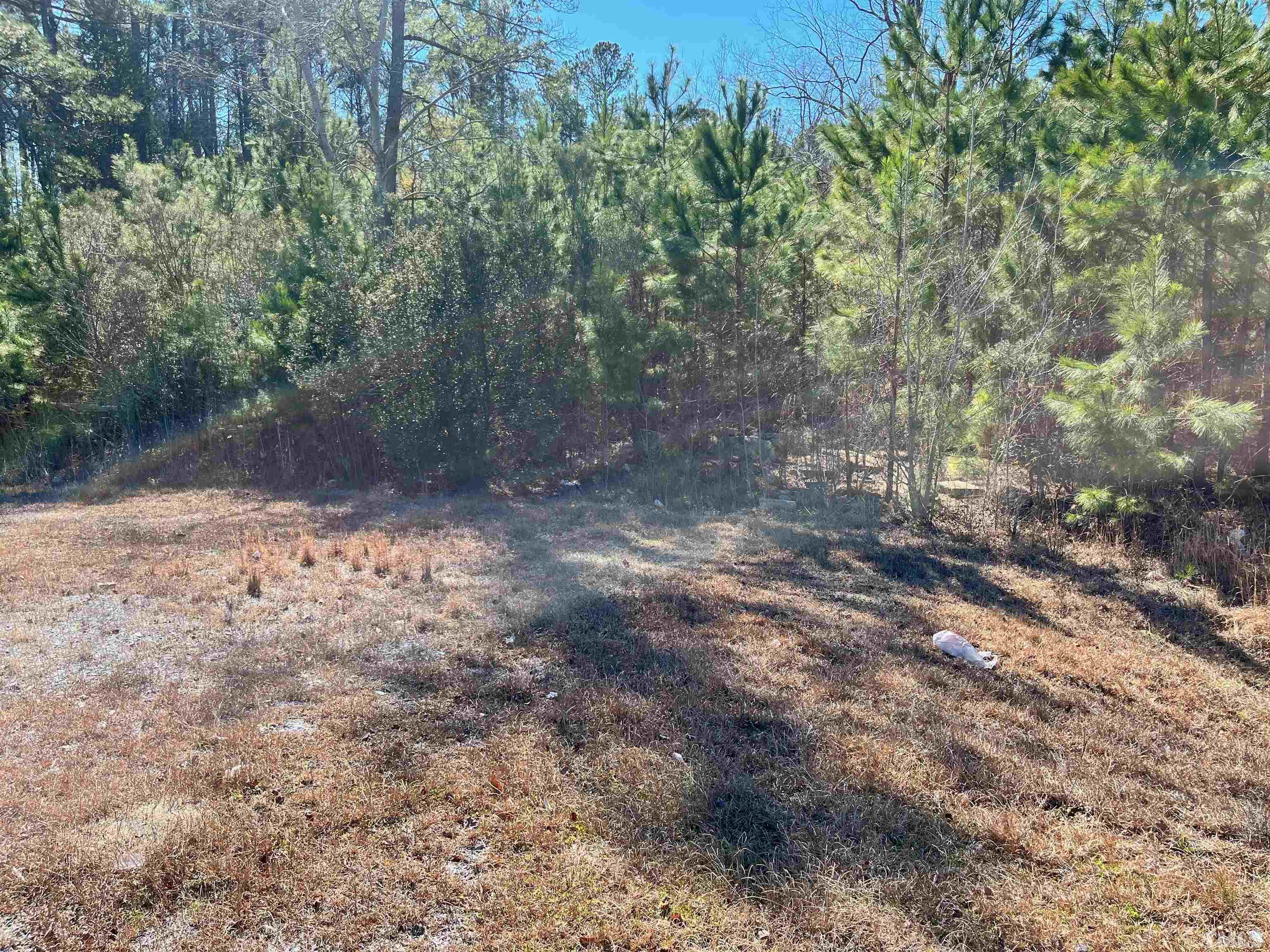 5924 Clinton Road Fayetteville, NC 28312 - Photo 6 of 8 a view of a yard with trees