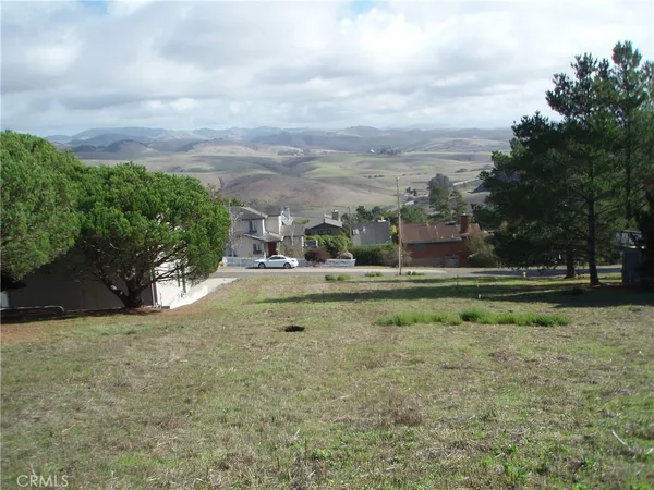 a view of a green field
