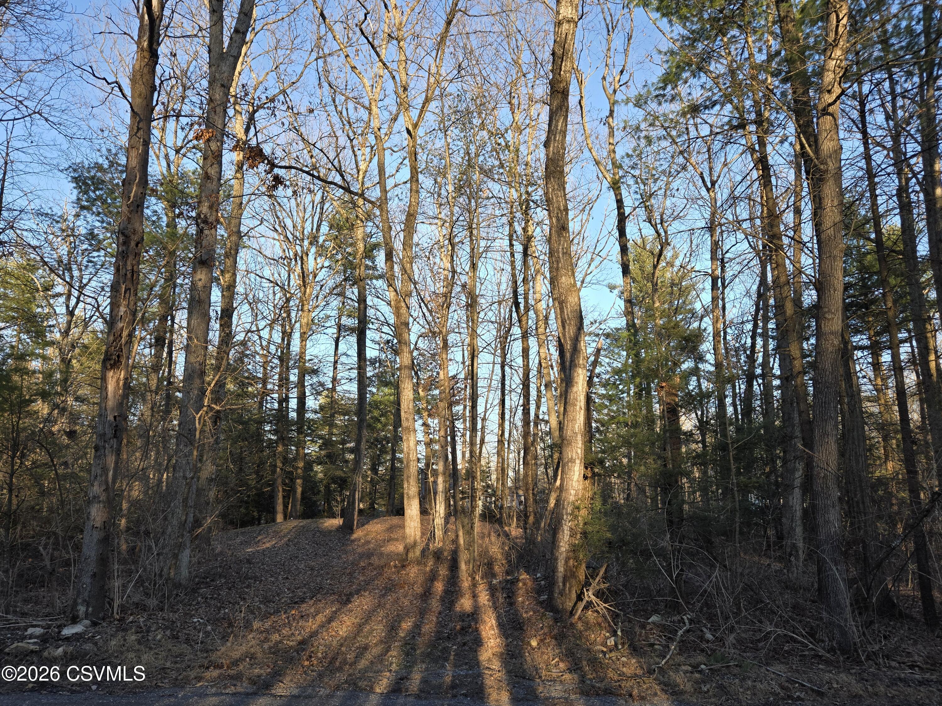 Lot 4 Diehl Road Mifflinburg, PA 17844 - Photo 2 of 10