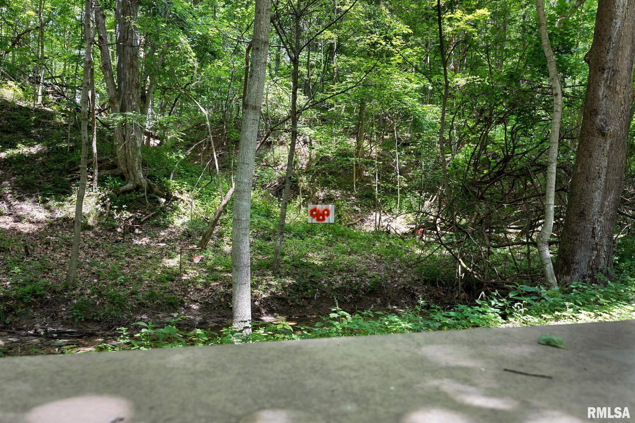 0 North Stone School Road Elmwood, IL 61529 - Photo 55 of 90