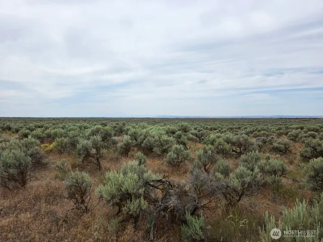 a view of a bunch of trees in a field