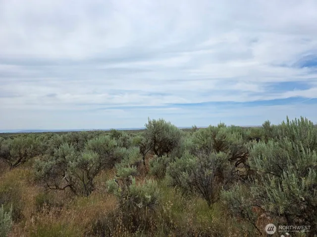 a view of a field of grass and trees