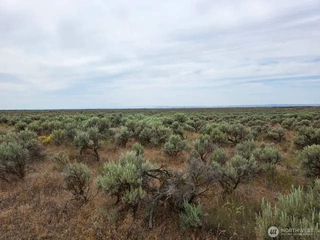 a view of a field with trees in background