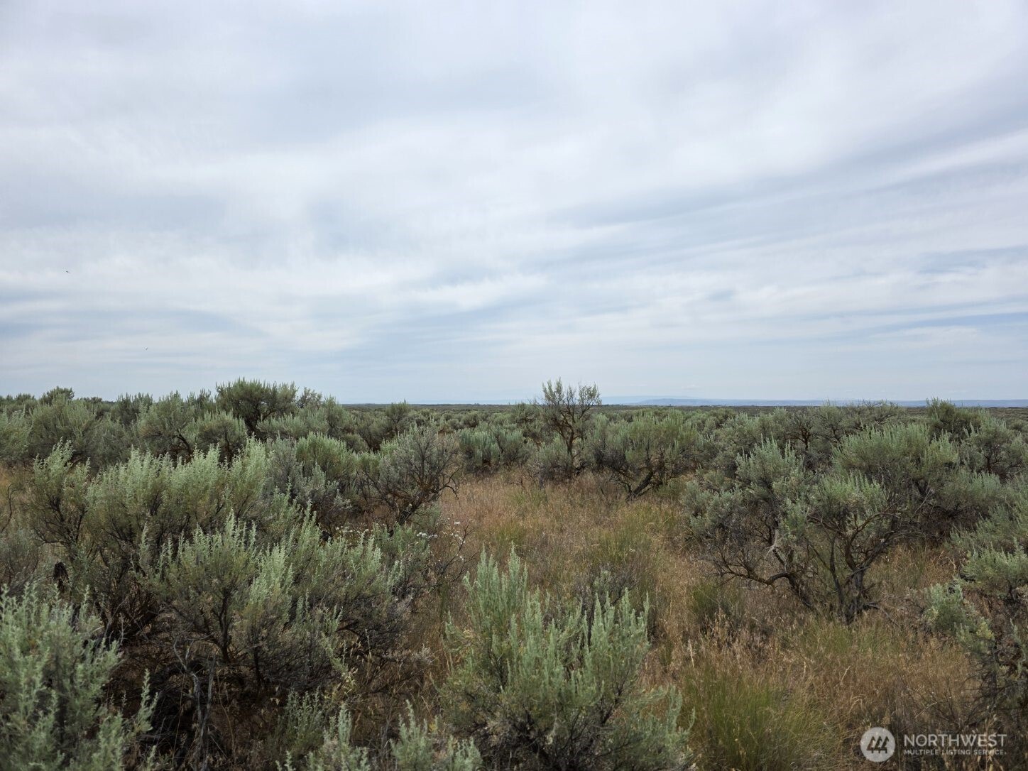 0 Lot 116 Eagle Springs Ranch Marlin, WA 98832 - Photo 14 of 19 a view of a bunch of trees in a field