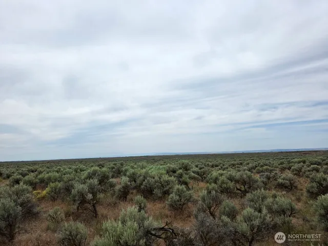 a view of a field with lots of trees in it