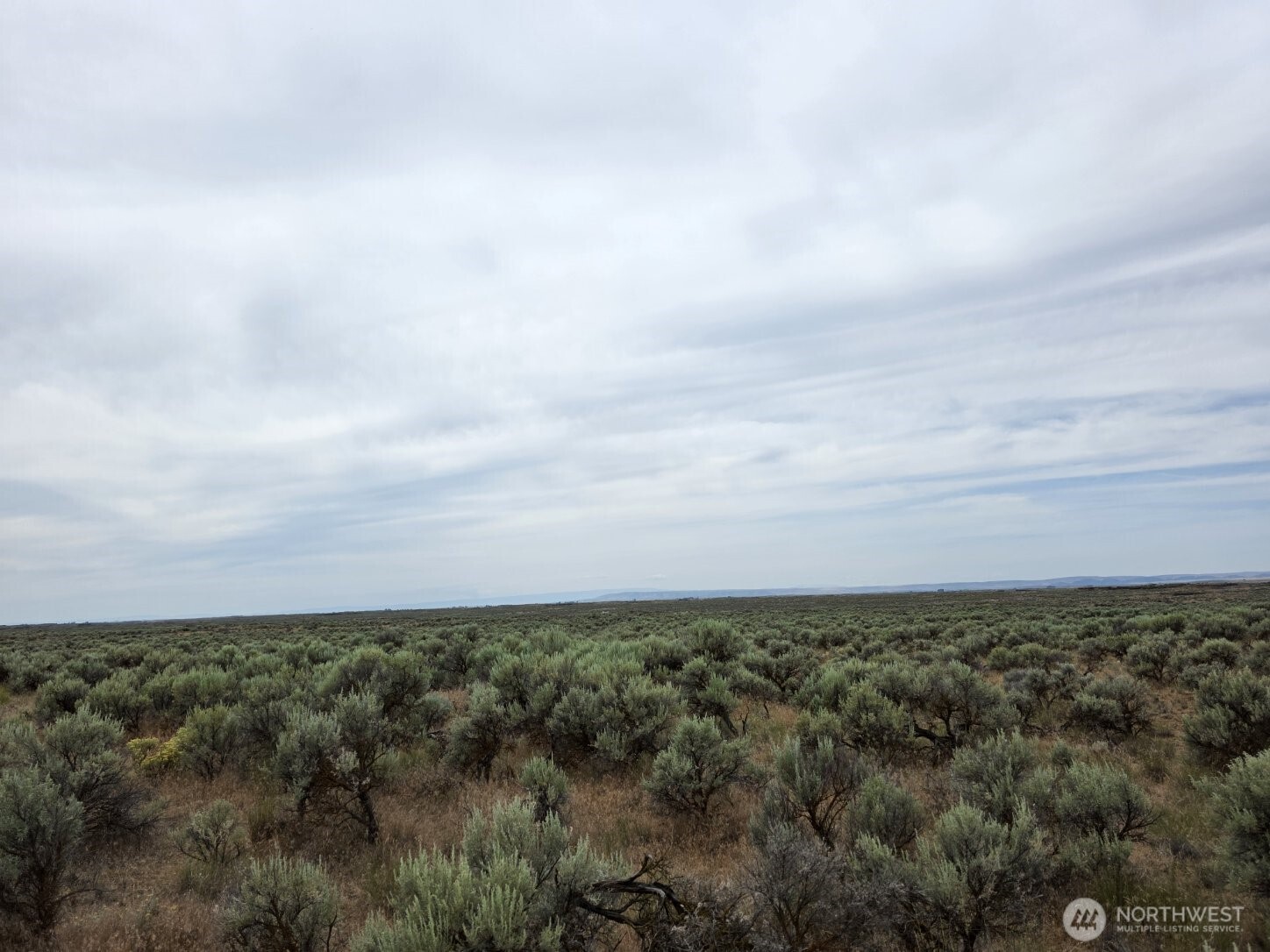 0 Lot 116 Eagle Springs Ranch Marlin, WA 98832 - Photo 15 of 19