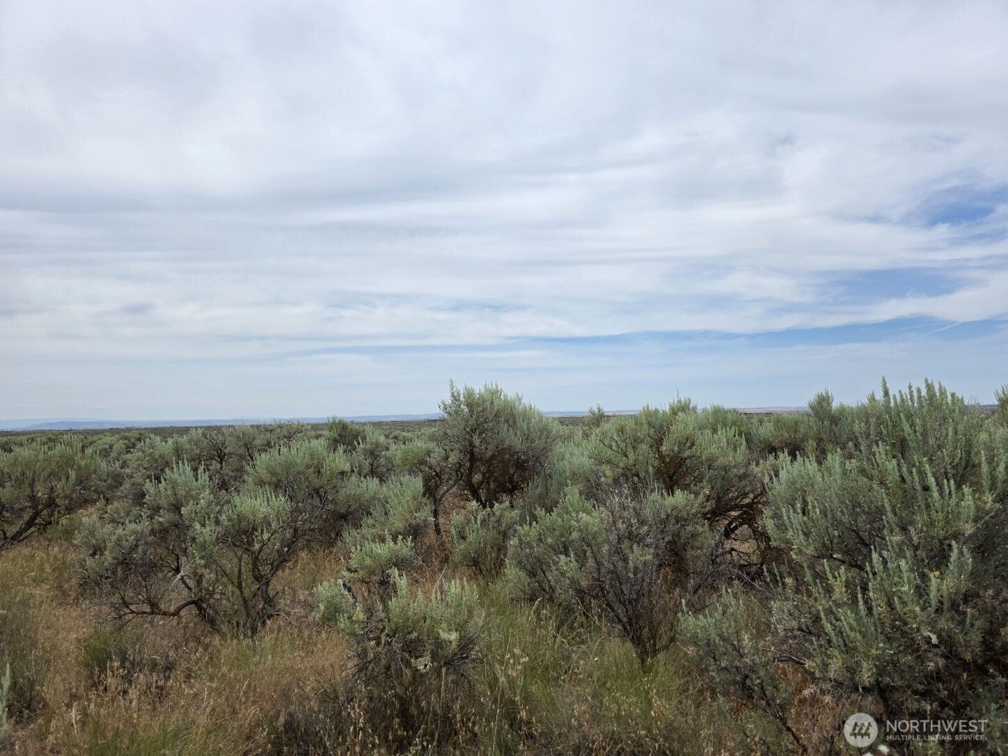 0 Lot 116 Eagle Springs Ranch Marlin, WA 98832 - Photo 16 of 19 a view of a field of grass and trees