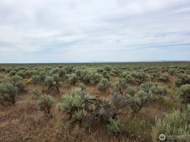 $40,000 | 0 Lot 116 Eagle Springs Ranch, Marlin, WA 98832
