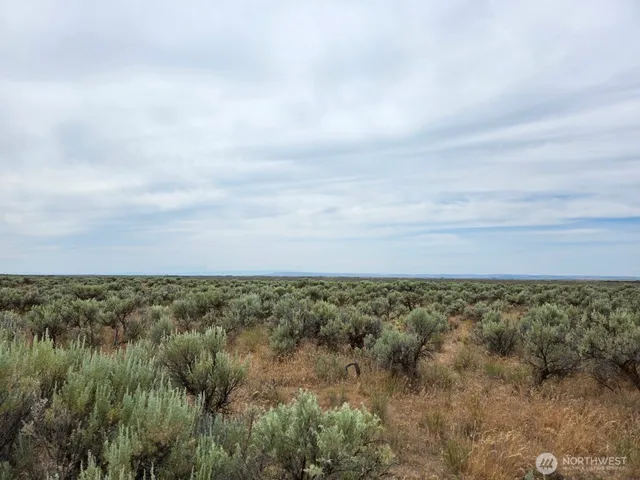$40,000 | 0 Lot 116 Eagle Springs Ranch, Marlin, WA 98832