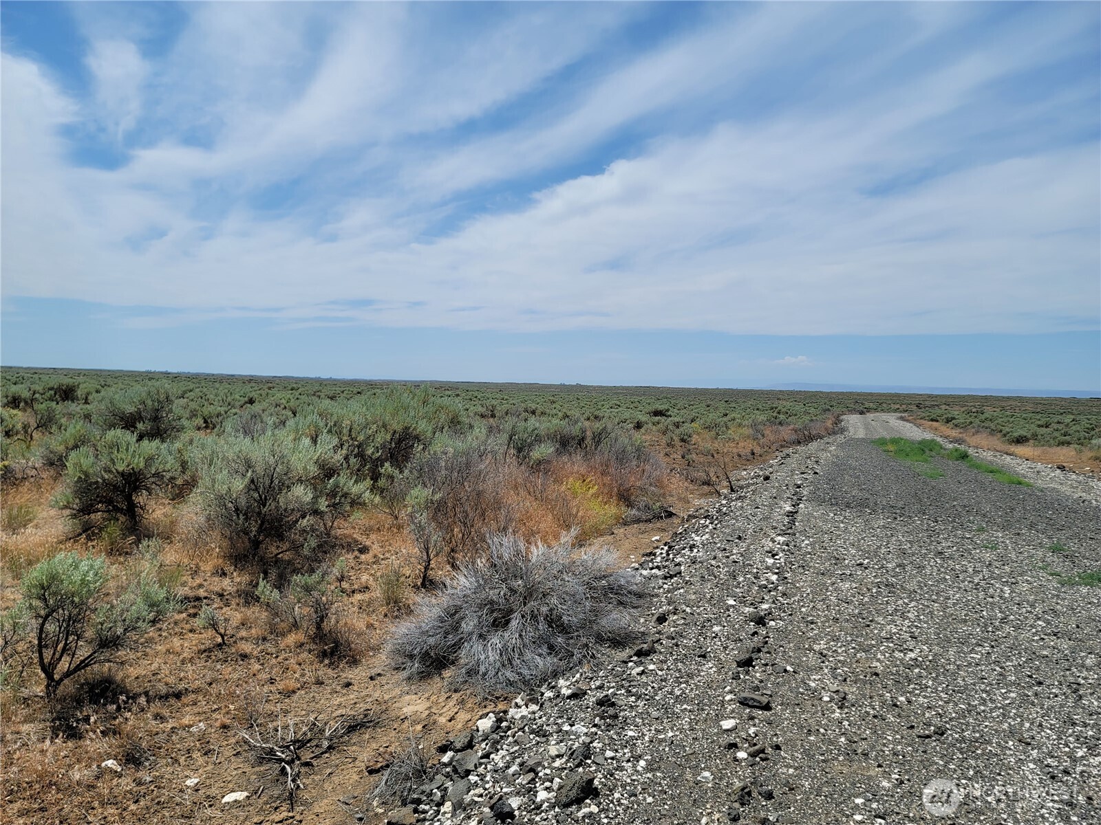 0 Lot 116 Eagle Springs Ranch Marlin, WA 98832 - Photo 19 of 19 a view of a field with lots of trees in it