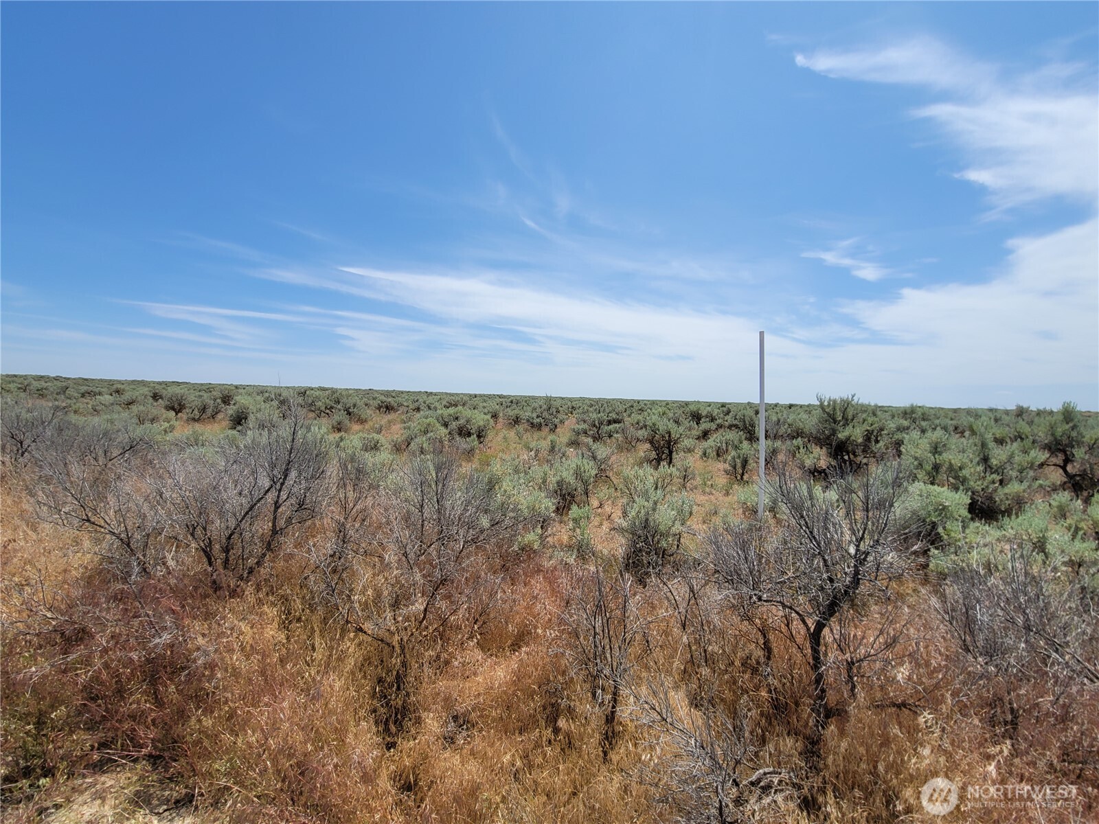 0 Lot 116 Eagle Springs Ranch Marlin, WA 98832 - Photo 5 of 19 a view of a dry yard with wooden fence