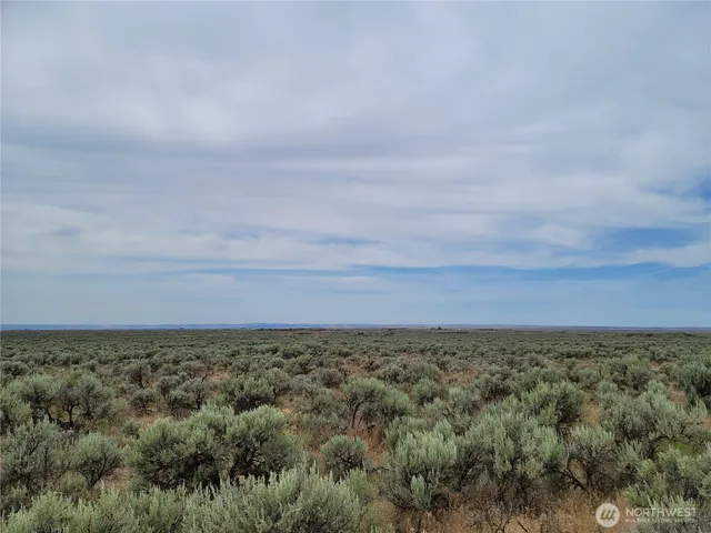 a view of beach and covered with fog