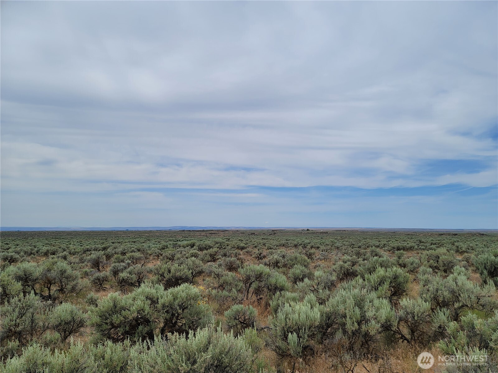 0 Lot 116 Eagle Springs Ranch Marlin, WA 98832 - Photo 6 of 19