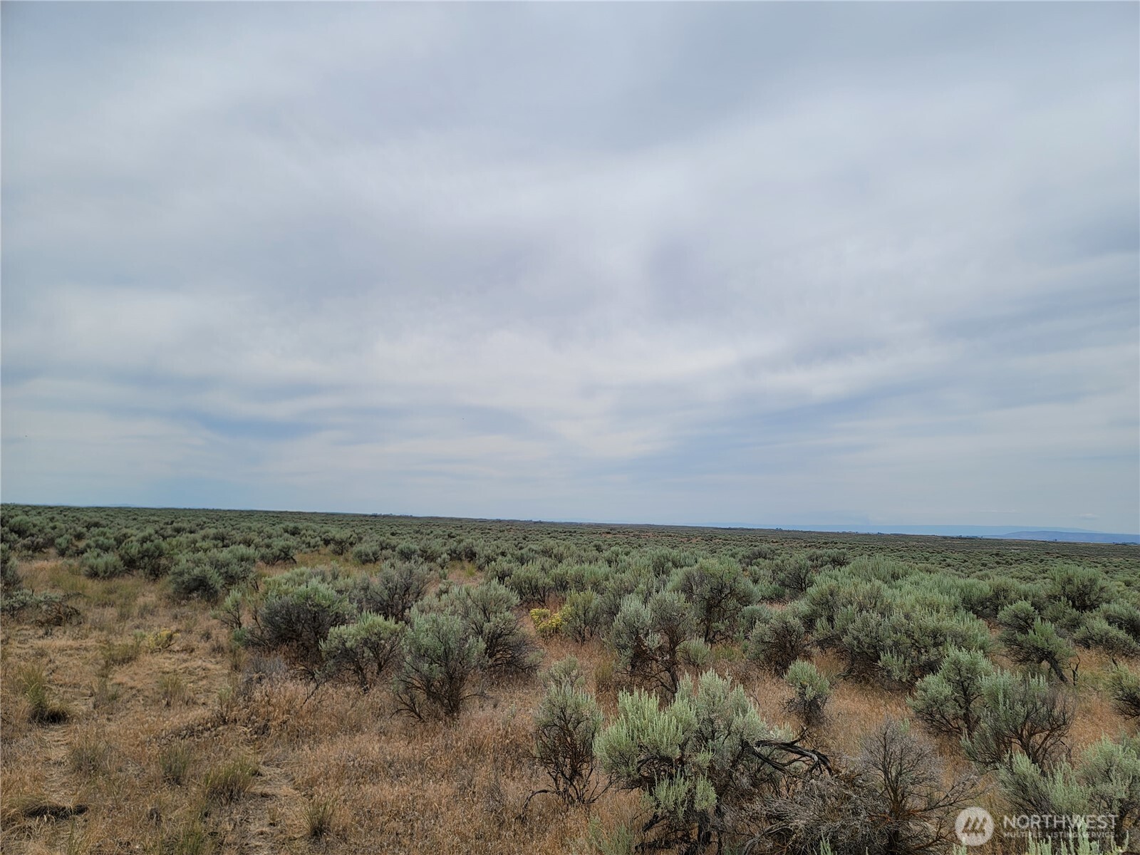 0 Lot 116 Eagle Springs Ranch Marlin, WA 98832 - Photo 7 of 19 a view of beach and covered with fog
