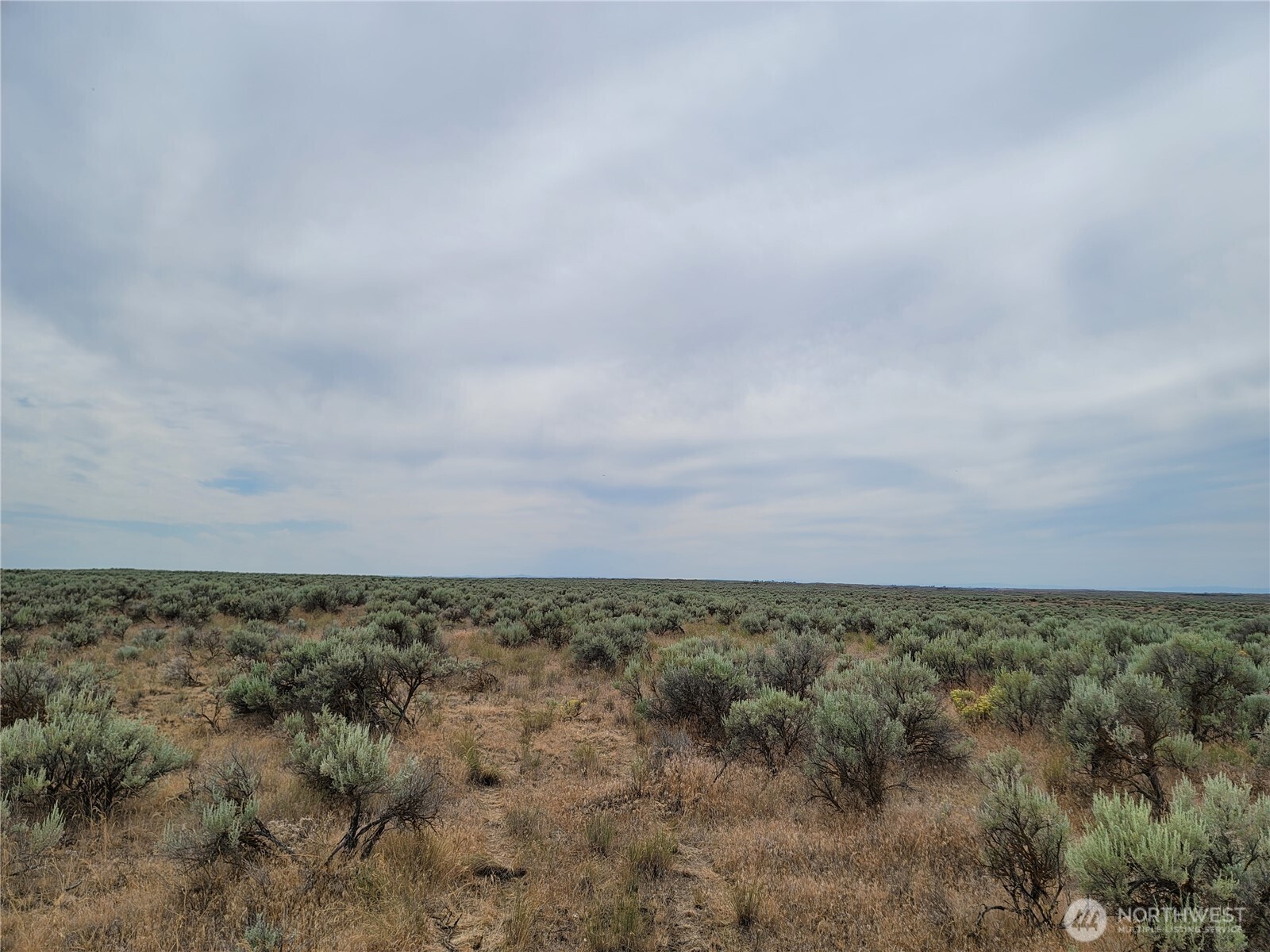 0 Lot 116 Eagle Springs Ranch Marlin, WA 98832 - Photo 8 of 19