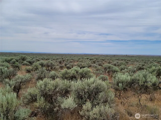 a view of a field with trees in background