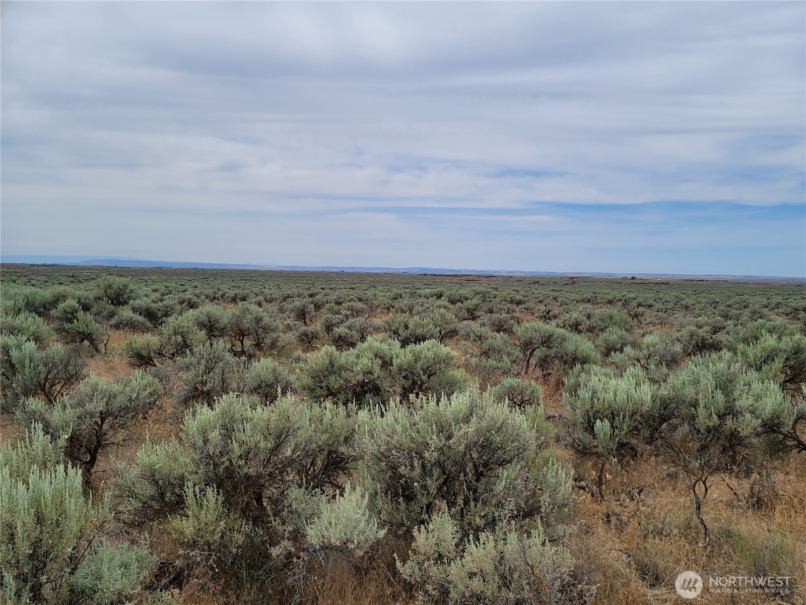 0 Lot 116 Eagle Springs Ranch Marlin, WA 98832 - Photo 10 of 19 an aerial view of a forest
