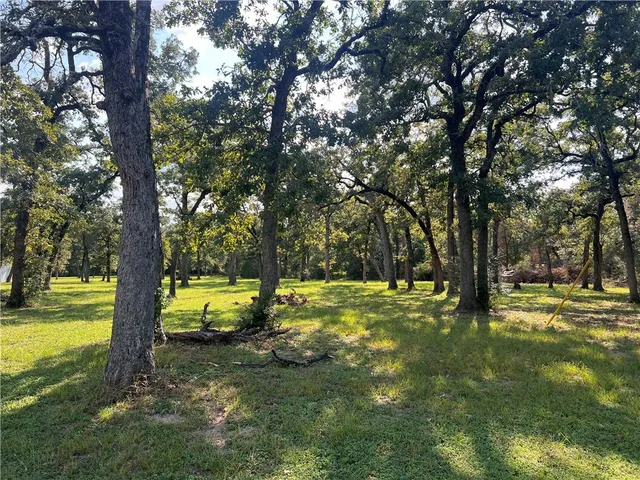$99,000 | 1.921-ac Cardinal Road, Caldwell, TX 77836